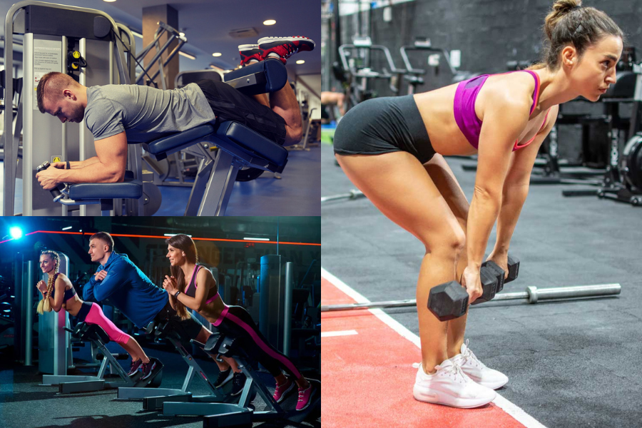 Hamstring Workout
