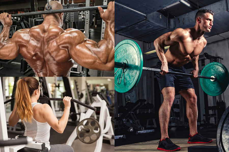 Back Workout