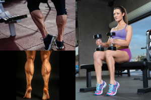 Calf Workouts
