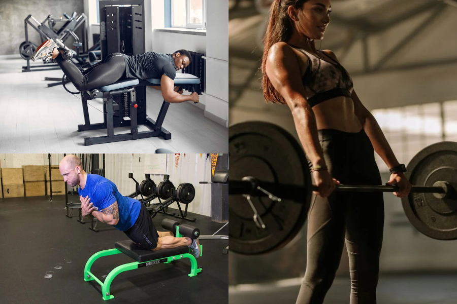 Hamstring Workout